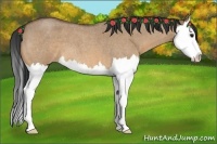 Horse Color:Bay Roan Dun Splash 