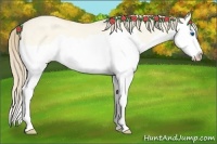 Horse Color:Perlino Dun Splash