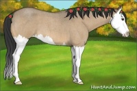 Horse Color:Buckskin Roan Dun Splash 