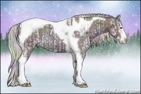Horse Color:Chocolate Silver Brown Chinchilla Dun Sabino Tobiano Rabicano  and Nacre Chocolate Silver Black Chinchilla Ice Splash Tobiano Rabicano 