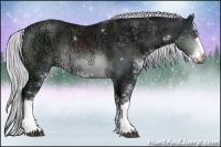 Horse Color:Silver Brown Chinchilla Ice Sabino 
