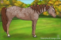 Horse Color:Chestnut Ice Sabino 