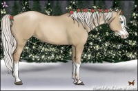 Horse Color:Silver Grullo Pearl Sabino Splash 