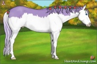 Horse Color:Watercolor Red Dun Splash 
