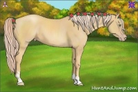 Horse Color:Gold Cream Champagne 