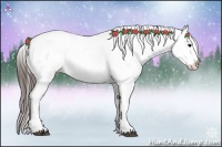 Horse Color:Brown Appaloosa
