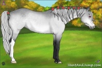 Horse Color:Silver Bay Chinchilla 