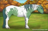 Horse Color:Watercolor Bay Tobiano 