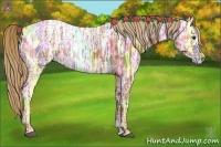 Horse Color:Chestnut Ice 