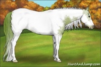 Horse Color:Watercolor Liver Red Dun Tobiano Frame