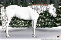 Horse Color:White Spotted Silver Bay Pearl Frame Appaloosa