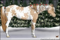 Horse Color:White Spotted Chestnut Pearl 