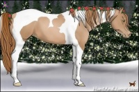 Horse Color:Chestnut Pearl Tobiano