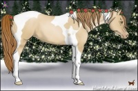 Horse Color:Red Dun Pearl Tobiano 