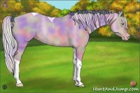 Horse Color:Nacre Watercolor Silver Amber Champagne Tobiano 