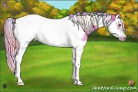 Horse Color:Nacre Watercolor Chestnut Splash Tobiano Frame 