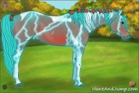 Horse Color:Thunderstruck Watercolor Bay Tobiano