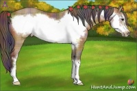 Horse Color:Nacre Plaid  Bay Frame 