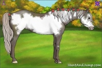 Horse Color:Silver Black Frame
