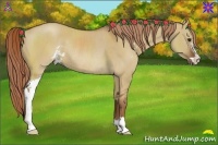 Horse Color:Red Dun Sabino Rabicano