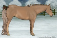 Horse Color:Palomino 