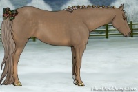 Horse Color:Chocolate Palomino 