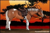 Horse Color:White Spotted Silver Bay Splash Tobiano Rabicano
