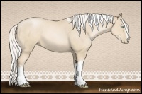 Horse Color:White Spotted Silver Smoky Black Pearl Tobiano 