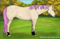 Horse Color:Painted Palomino Ice 