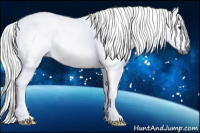 Horse Color:Gray Bay 