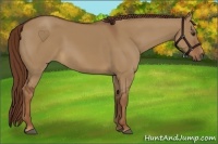 Horse Color:Red Dun 