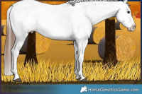 Horse Color:Brown Tobiano Snowflake Varnish