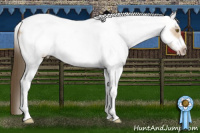 Horse Color:White Spotted Classic Cream Champagne Tobiano Frame 