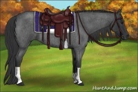 Horse Color:Blue Roan