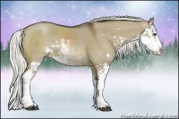 Horse Color:Liver Red Dun Sabino Splash Rabicano Brindle