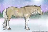 Horse Color:Liver Red Dun Sabino Splash Rabicano Brindle 