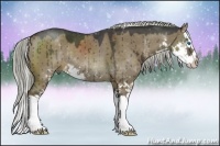 Horse Color:Liver Red Dun Sabino Splash Rabicano