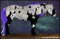 Horse Color:Watercolor White Spotted Buckskin Ice Onyx Splash