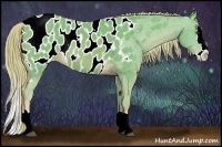Horse Color:Watercolor Chocolate Palomino Sabino Splash Appaloosa 