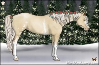 Horse Color:White Spotted Silver Grullo Pearl 