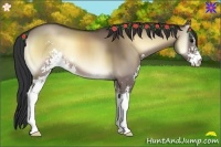 Horse Color:Brown Onyx Sabino 