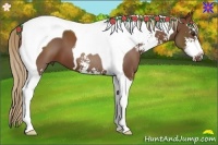 Horse Color:Chestnut Sabino Tobiano 