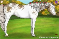 Horse Color:White Spotted Silver Buckskin 