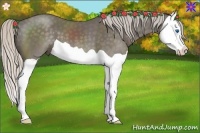 Horse Color:Silver Black Splash 