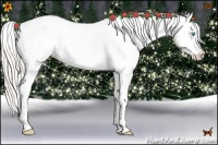 Horse Color:White Spotted Silver Classic Champagne Pearl Dun Appaloosa 