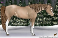 Horse Color:White Spotted Liver Chestnut Pearl