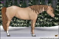 Horse Color:Liver Red Roan Pearl Sabino