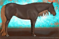 Horse Color:Liver Chestnut 