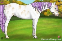Horse Color:Painted Silver Classic Champagne Dun Sabino Splash Frame 