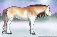 Horse Color:White Spotted Chocolate Bay Onyx Splash Rabicano